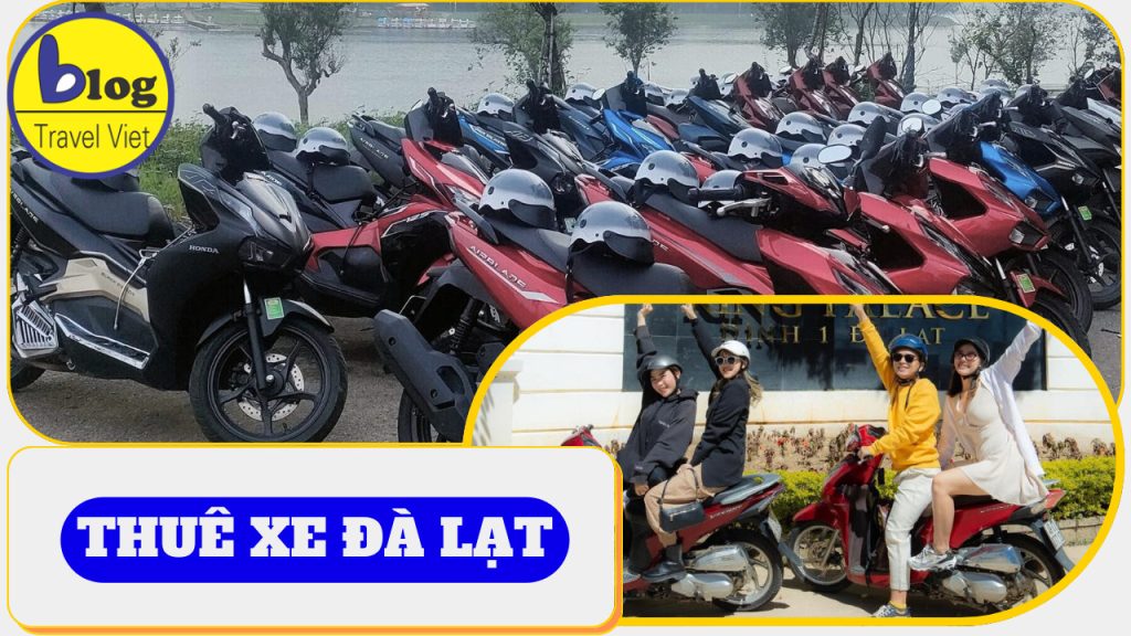 Top 8 địa chỉ cho thuê xe máy ở Đà Lạt giá rẻ và uy tín nhất